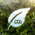 Carbon-Neutral, Net-Zero, and Climate Positive: Understanding the Concepts and Their Importance in the Fight Against Climate Change