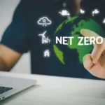 Net Zero in World Economics: Impacts and Challenges
