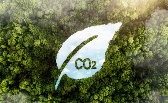 Carbon-Neutral, Net-Zero, and Climate Positive: Understanding the Concepts and Their Importance in the Fight Against Climate Change